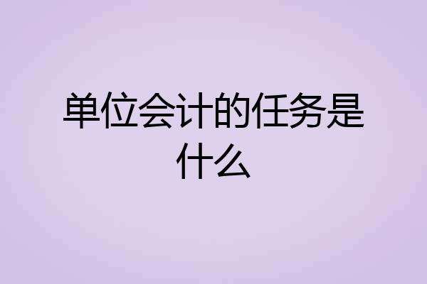 单位会计的任务是什么