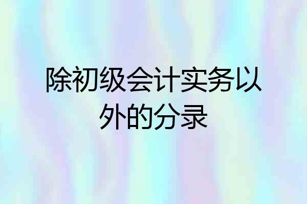 除初级会计实务以外的分录