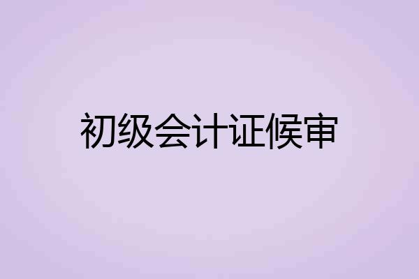 初级会计证候审