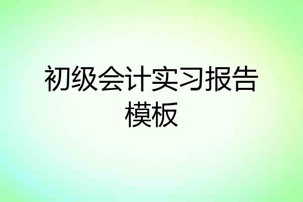初级会计实习报告模板