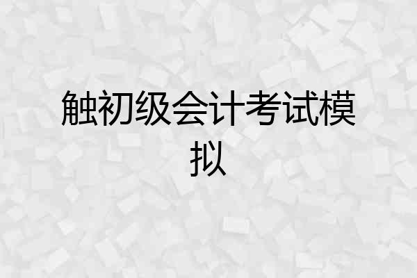 触初级会计考试模拟