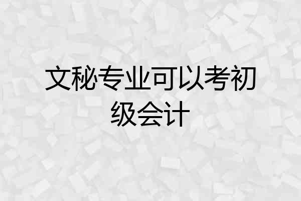 文秘专业可以考初级会计