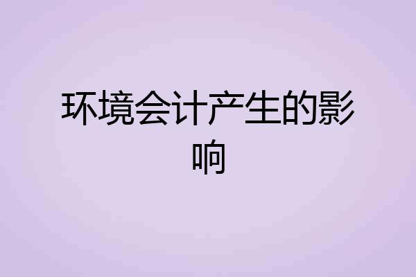 环境会计产生的影响