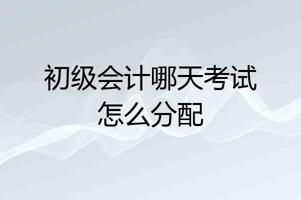 初级会计哪天考试怎么分配