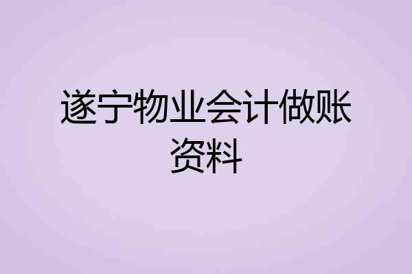 遂宁物业会计做账资料