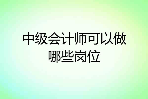 中级会计师可以做哪些岗位