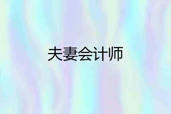 夫妻会计师