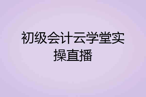 初级会计云学堂实操直播