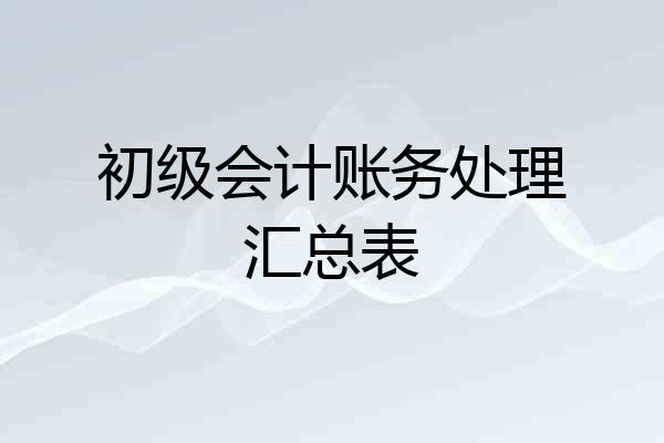初级会计账务处理汇总表
