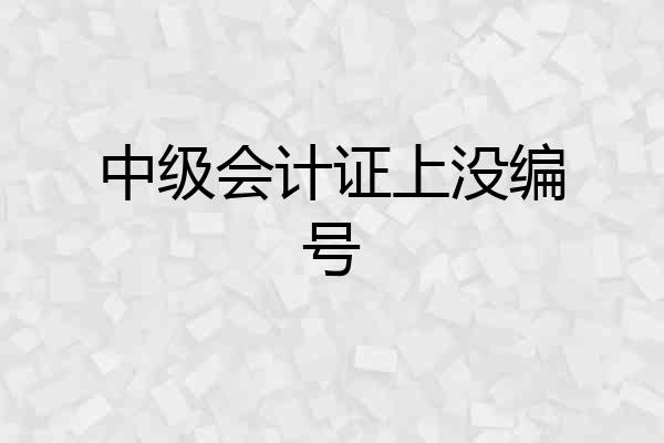 中级会计证上没编号