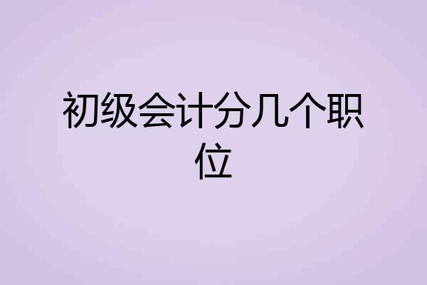初级会计分几个职位