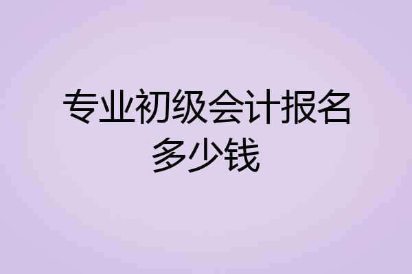 专业初级会计报名多少钱