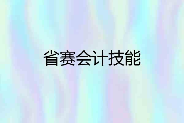 省赛会计技能