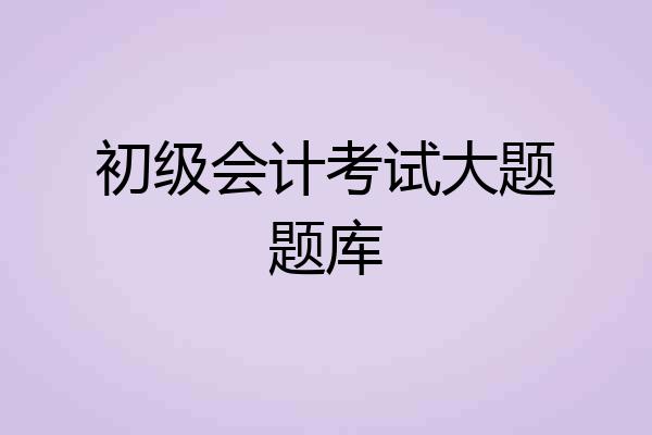 初级会计考试大题题库