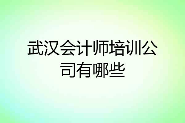 武汉会计师培训公司有哪些