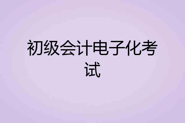 初级会计电子化考试