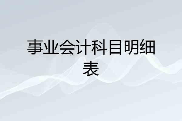 事业会计科目明细表