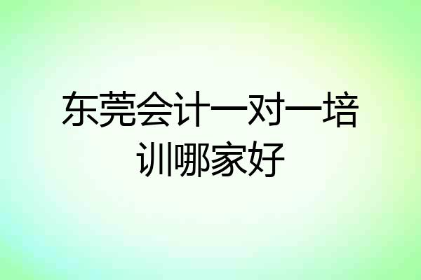 东莞会计一对一培训哪家好