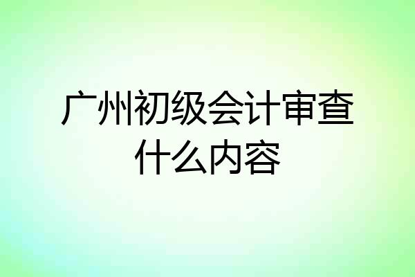 广州初级会计审查什么内容