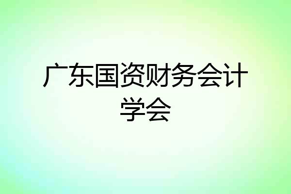 广东国资财务会计学会