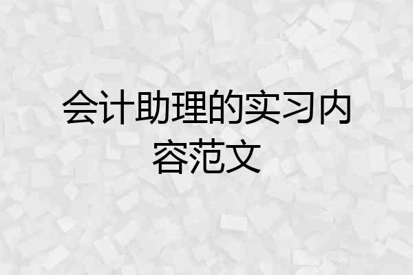 会计助理的实习内容范文