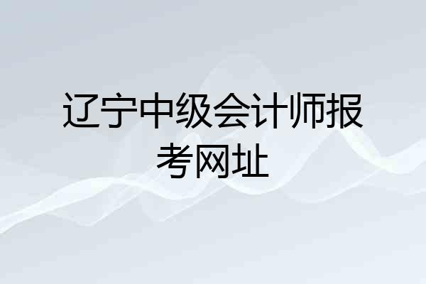 辽宁中级会计师报考网址
