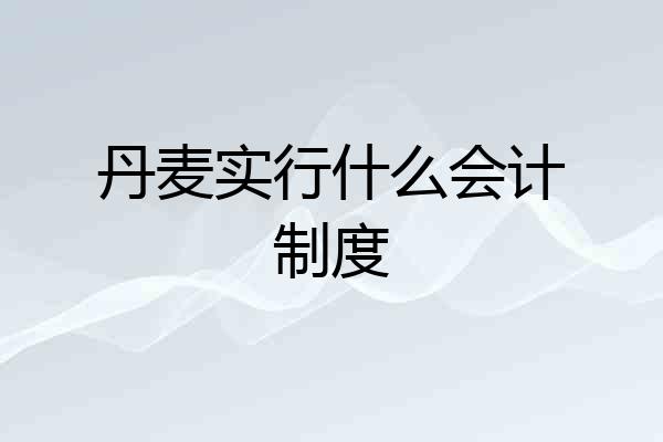 丹麦实行什么会计制度