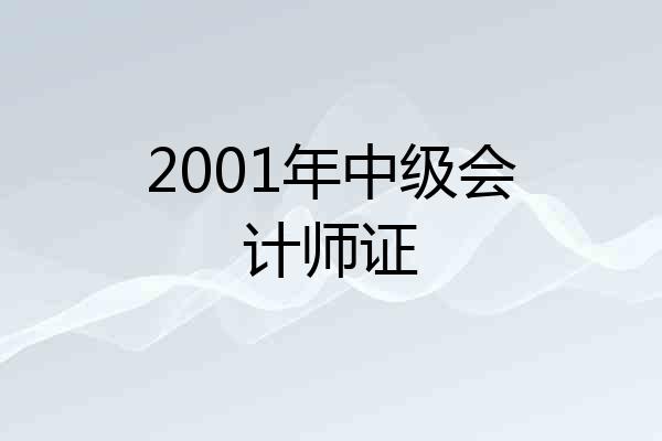 2001年中级会计师证