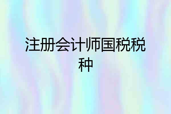 注册会计师国税税种