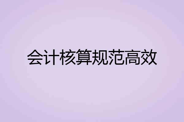 会计核算规范高效