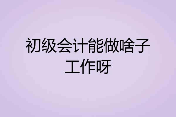 初级会计能做啥子工作呀