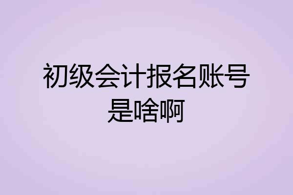 初级会计报名账号是啥啊