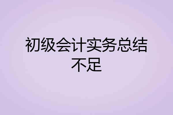 初级会计实务总结不足