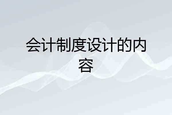 会计制度设计的内容