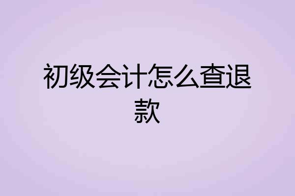 初级会计怎么查退款