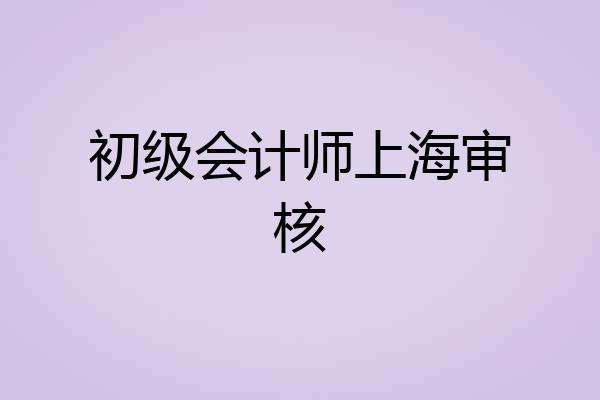 初级会计师上海审核