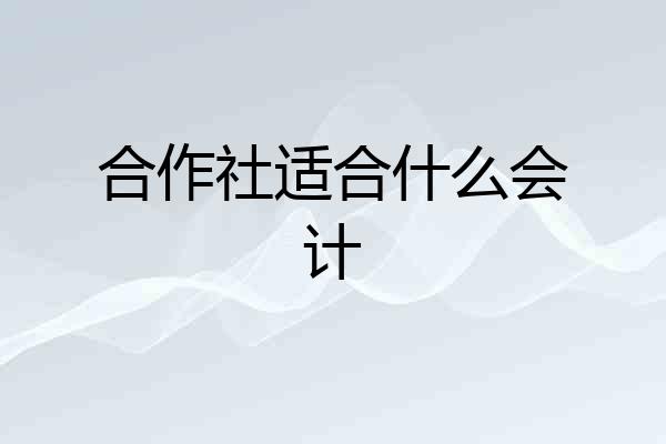 合作社适合什么会计