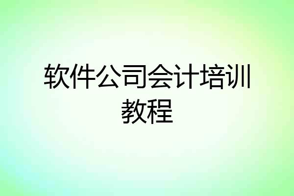 软件公司会计培训教程