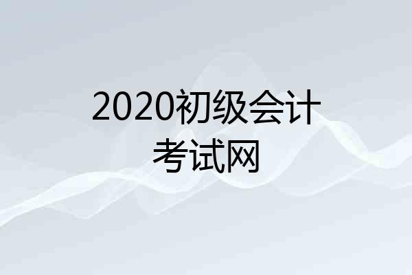 2020初级会计考试网