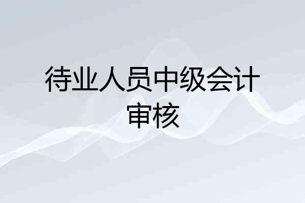 待业人员中级会计审核