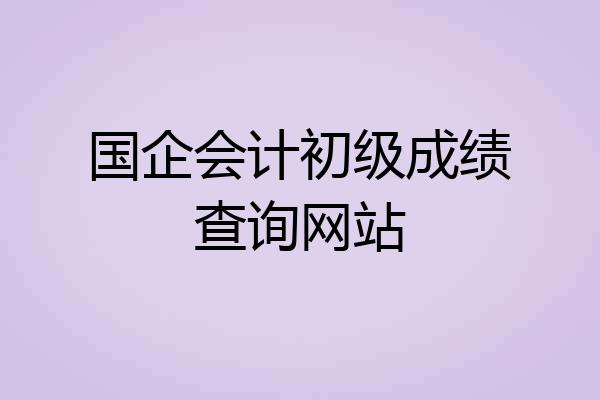 国企会计初级成绩查询网站