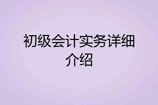 初级会计实务详细介绍