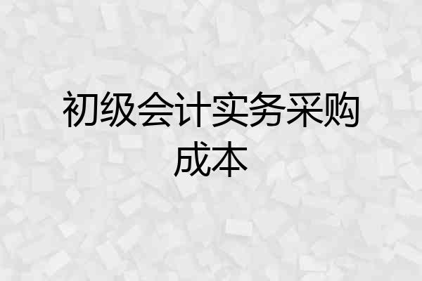 初级会计实务采购成本