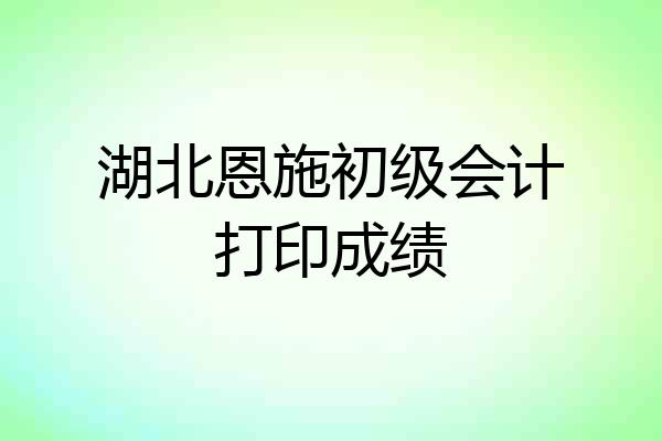 湖北恩施初级会计打印成绩