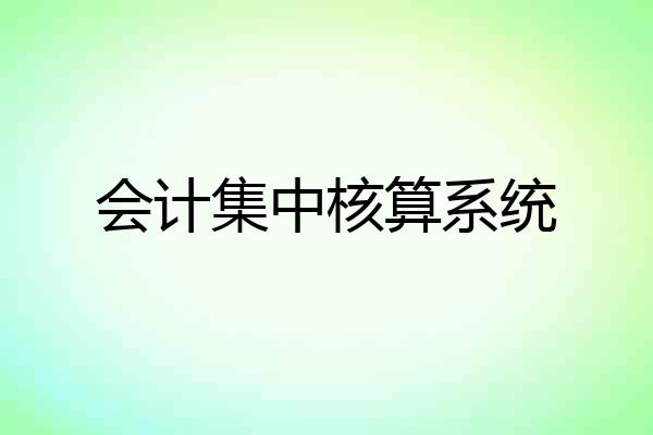 会计集中核算系统