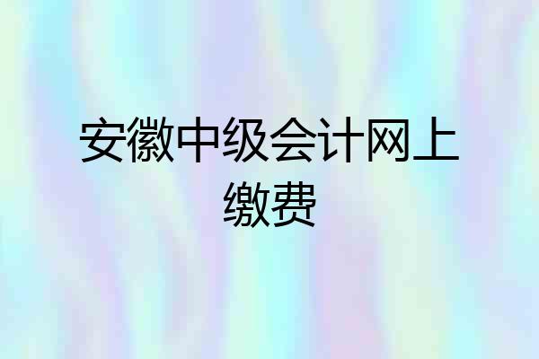 安徽中级会计网上缴费