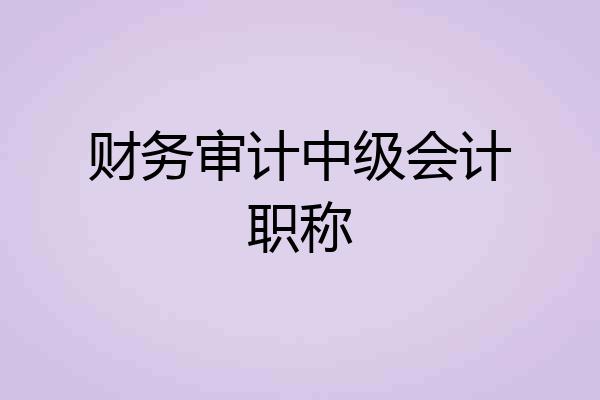 财务审计中级会计职称