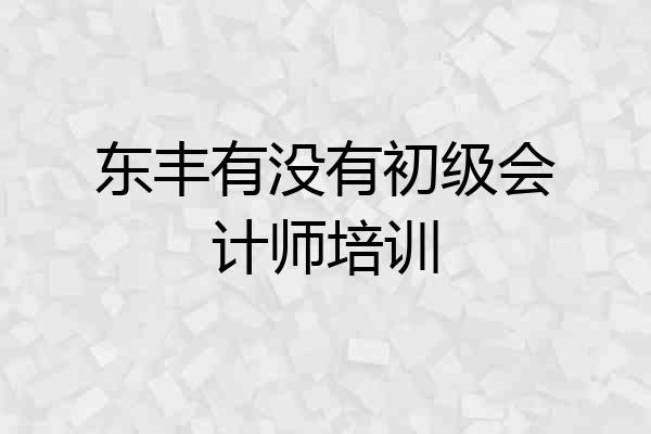 东丰有没有初级会计师培训