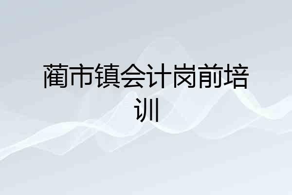 蔺市镇会计岗前培训