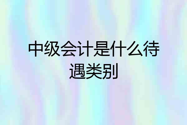 中级会计是什么待遇类别